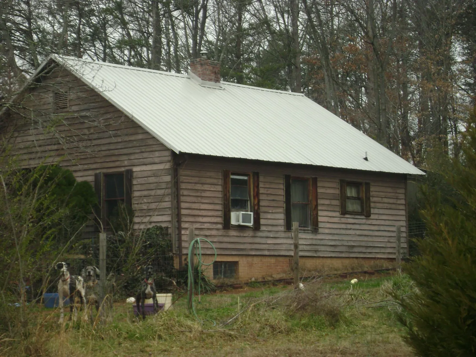 White metal roof on an old wood sided farmhouse, from a Asphalt Shingle Roof Repair job in Oakfield